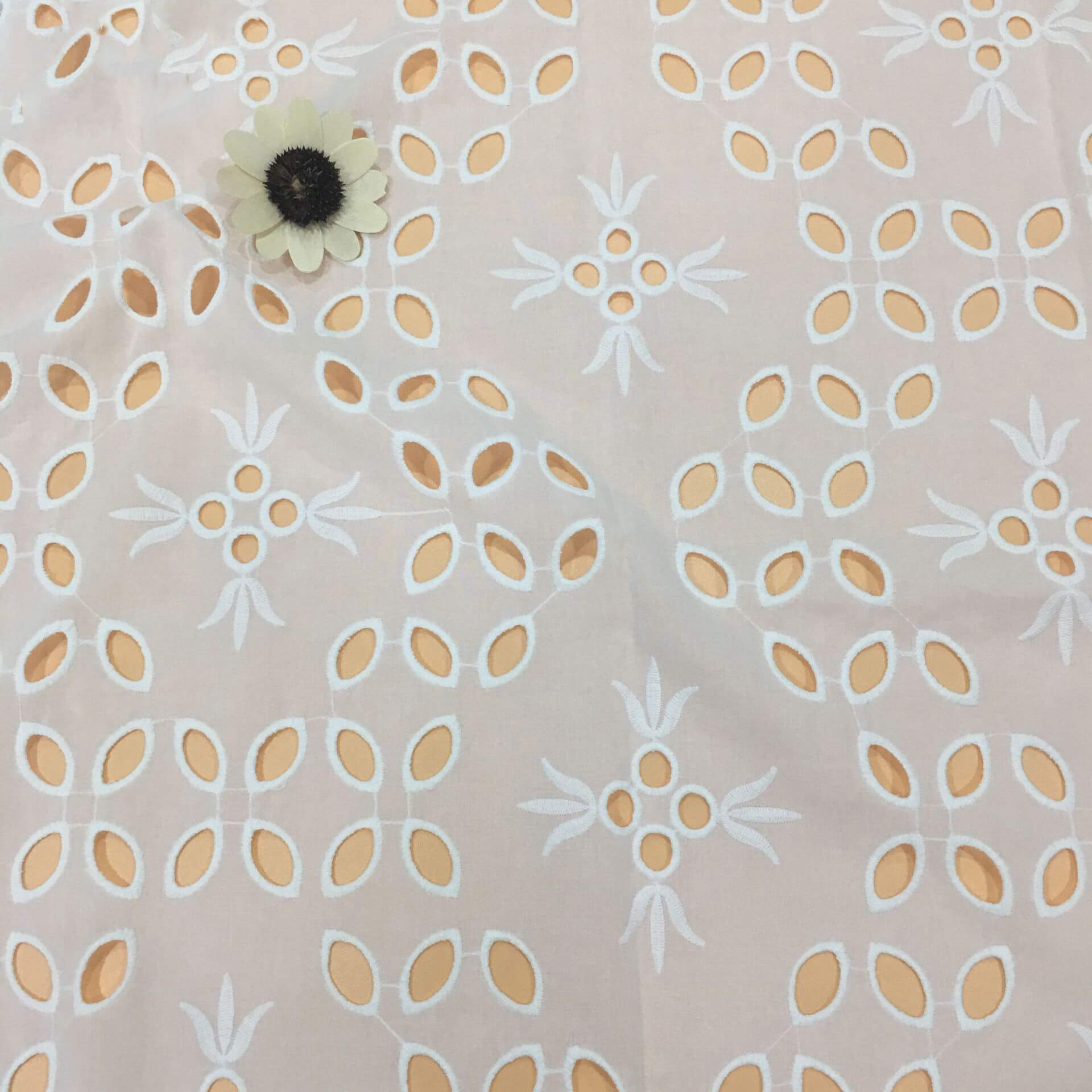 Embroidered Fabric Double Edge Placement 100% Cotton for Women's Wear 2